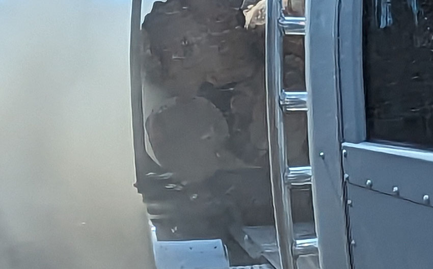 Expedited Trucking Image