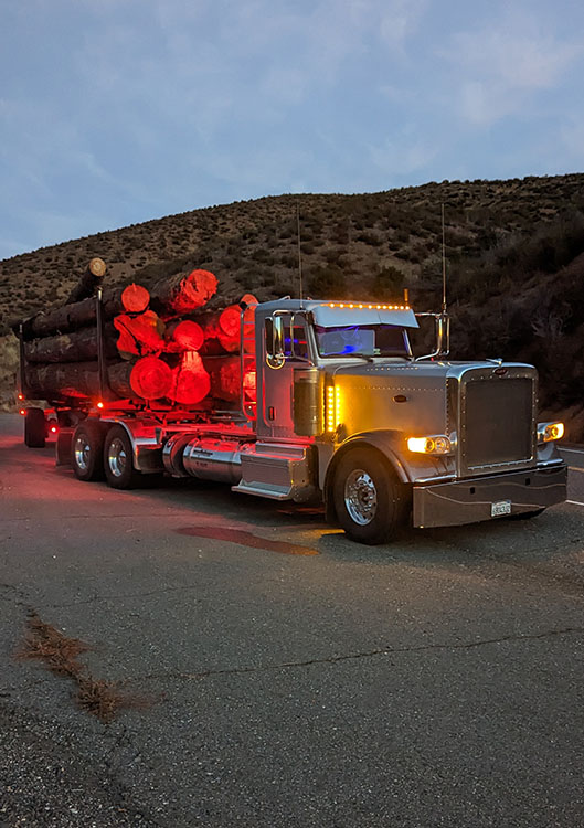 Truck On The Road